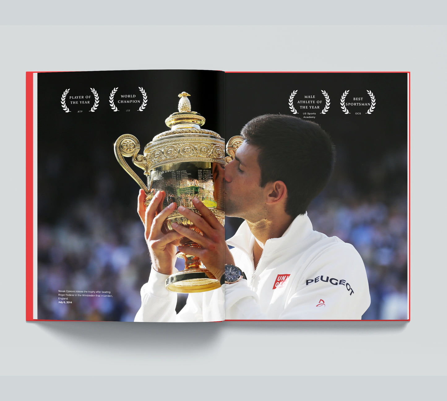 Novak Djokovic 2014 Season Single Book